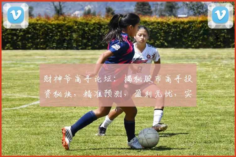 财神爷高手论坛：揭秘股市高手投资秘诀，精准预测，盈利无忧，实战技巧分享