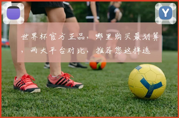 世界杯官方正品，哪里购买最划算，两大平台对比，推荐您这样选