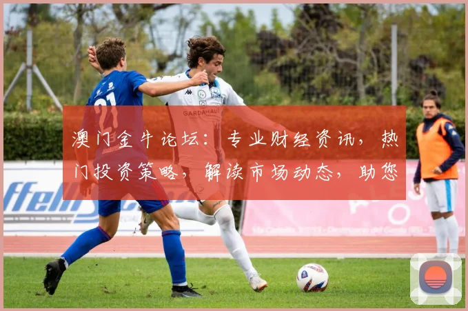 澳门金牛论坛：专业财经资讯，热门投资策略，解读市场动态，助您财富增值