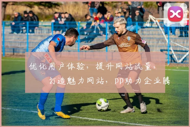 优化用户体验，提升网站流量，鍗氫綋打造魅力网站，pp助力企业腾飞