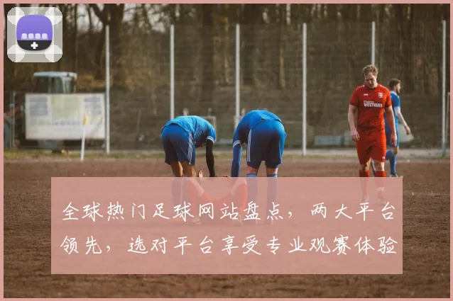 全球热门足球网站盘点，两大平台领先，选对平台享受专业观赛体验