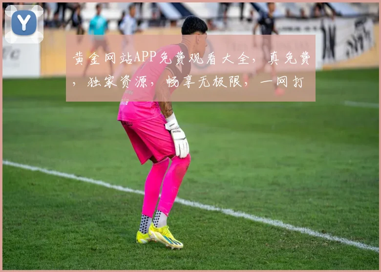 黄金网站APP免费观看大全，真免费，独家资源，畅享无极限，一网打尽